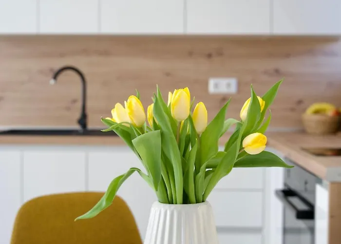 Apartmán Nives